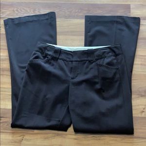 dress pants